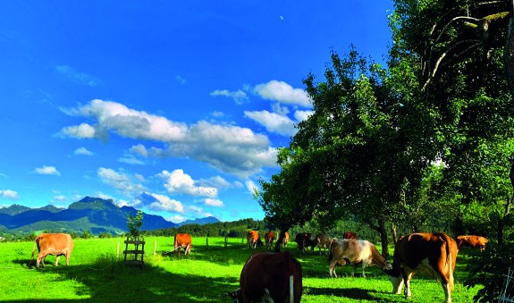 Biohof Unterstadl EKF, &copy; Nopper