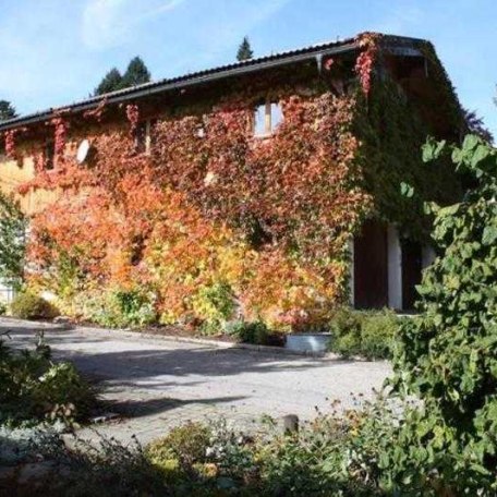 Blick auf die FeWo-Südseite mit Bewuchs von Wildem Wein, © im-web.de/ Tourist-Information Gmund am Tegernsee