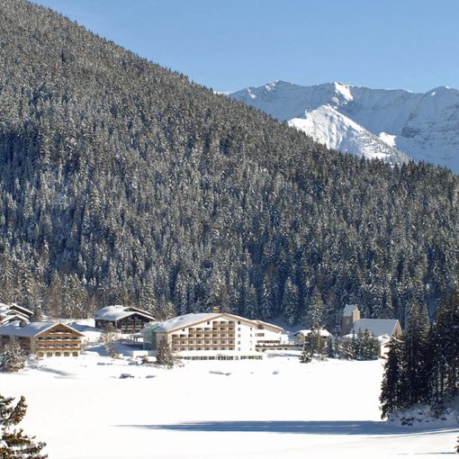 Wildf&uuml;tterung Spitzingsee