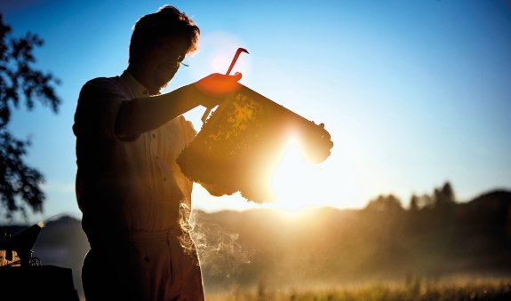 Imkerei Schmidl EKF Imkerei Schmidl EKF