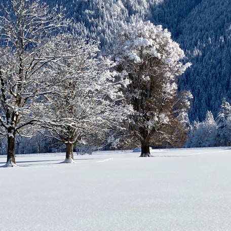 Wunderbar, &copy; Stadler Christine