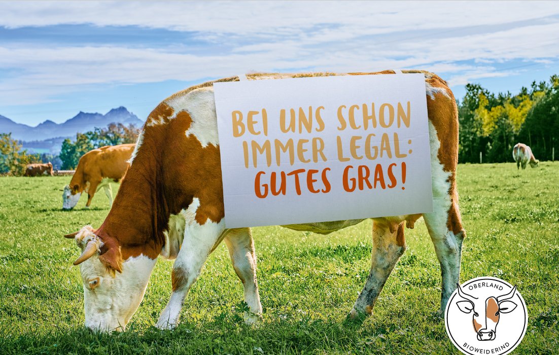 Oberland Bioweiderind EKF