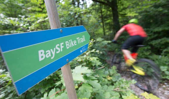 Mtb Trail in Kreuth