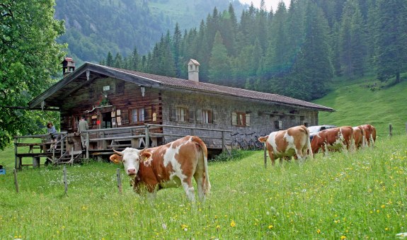 Bayralm bei Kreuth, © Gemeinde Kreuth_Hörth