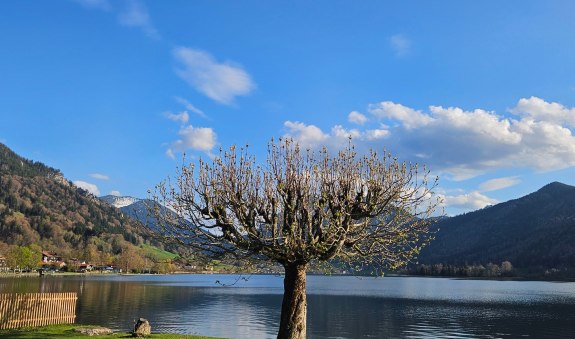 Seetraum mit Bergblick, &copy; im-web.de/ G&auml;ste-Information Schliersee in der vitalwelt schliersee