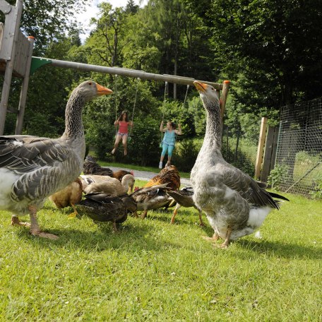 Ein Kinderspielplatz zum toben und spielen steht zur Verfügung, © im-web.de/ Tourist-Information Bad Wiessee