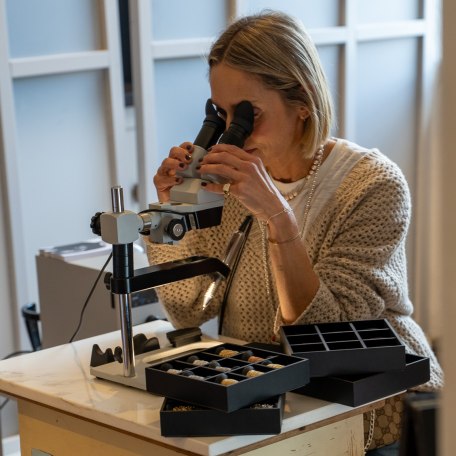 1CM00087, &copy; C.Klimscha