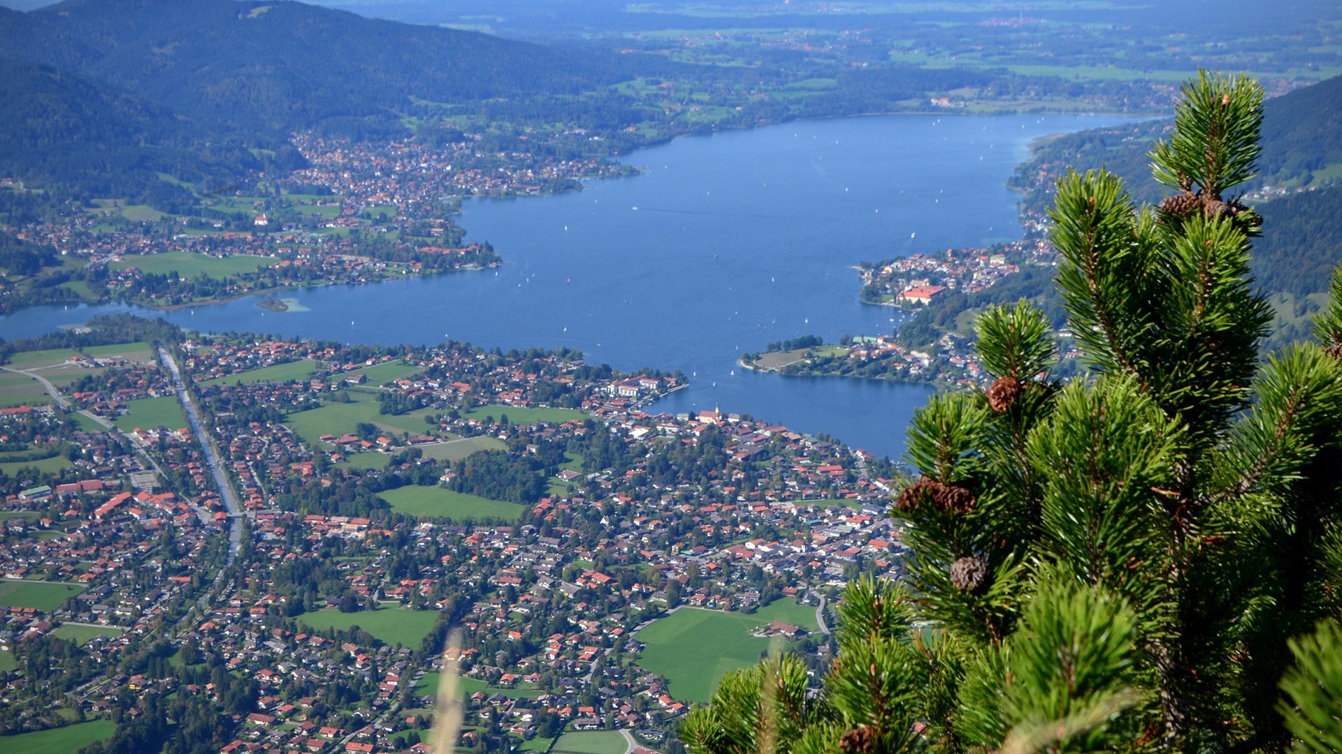 dsc_2769_1 dsc_2769_1