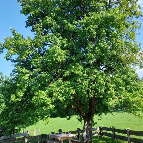 Lieblingsplatz, © Jägerhof Biobauernhof am Tegernsee