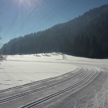 Gmunder Zubringer zur Wiesseer Loipe, © im-web.de/ Tourist-Information Gmund am Tegernsee