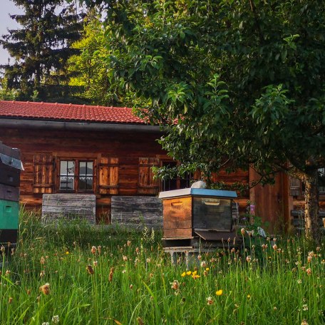 Lehrbienenstand_Gmund_1, &copy; DER TEGERNSEE I. Munstermann