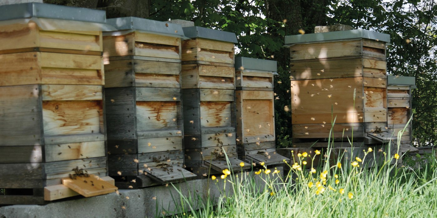 Bio-Imkerei Bartl EKF