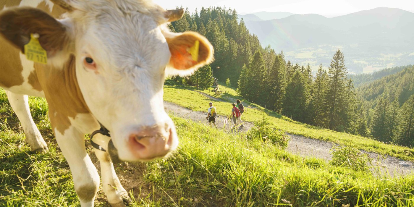 wandern-breitenstein-79, &copy; Dietmar Denger