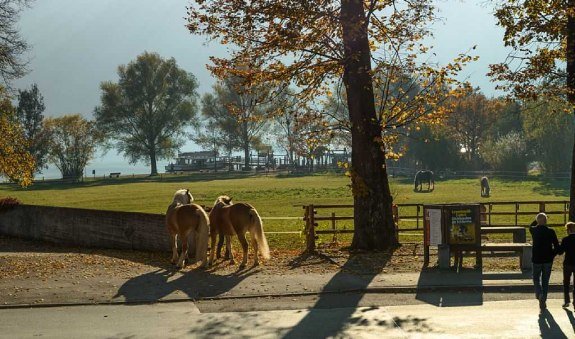 Ausblick Wohnraum auf den Schliersee, © im-web.de/ Gäste-Information Schliersee in der vitalwelt schliersee