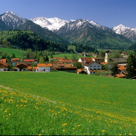 Alpenregion 05.05-10