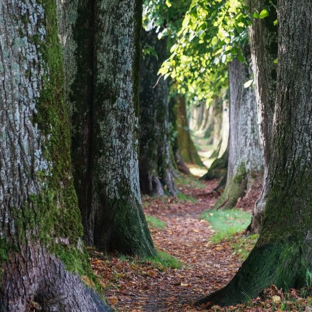 lightroom-66-von-108-1 lightroom-66-von-108-1