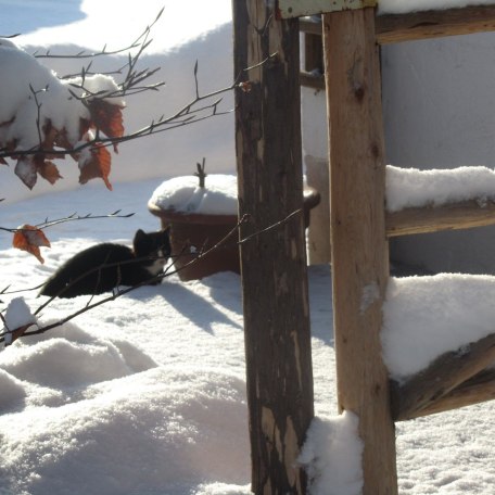 KoglHof, &copy; im-web.de/ Touristinformation Fischbachau