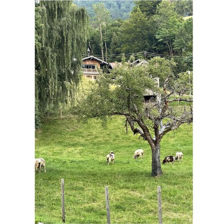 Wiese, &copy; im-web.de/ Ferienwohnungen Tegernsee