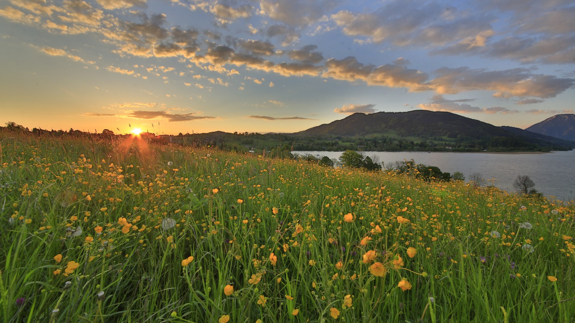 TTT_0514_EK_Ort_Frühling_Gmund-0007, © TTT-Egbert Krupp TTT_0514_EK_Ort_Frühling_Gmund-0007, © TTT-Egbert Krupp