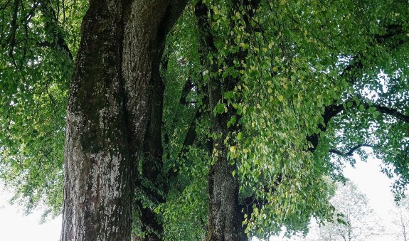 lightroom-69-von-108 lightroom-69-von-108