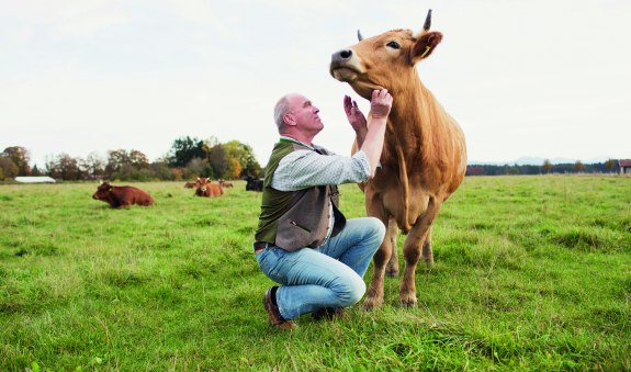 Archehof Schlickenrieder EKF