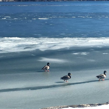 Tegernsee im Winter, &copy; im-web.de/ Tourist-Information Bad Wiessee