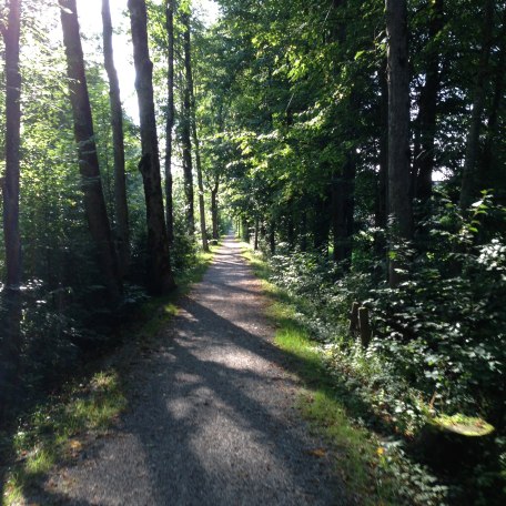 IMG_3500, © Florian Hornsteiner IMG_3500, © Florian Hornsteiner