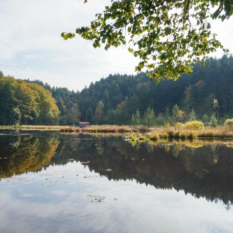 lightroom-70-von-108 lightroom-70-von-108