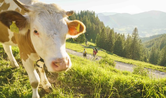 wandern-breitenstein-79, &copy; Dietmar Denger