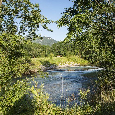 Wildkräuter Wanderung Bayern Fischbachau, © Florian Liebenstein