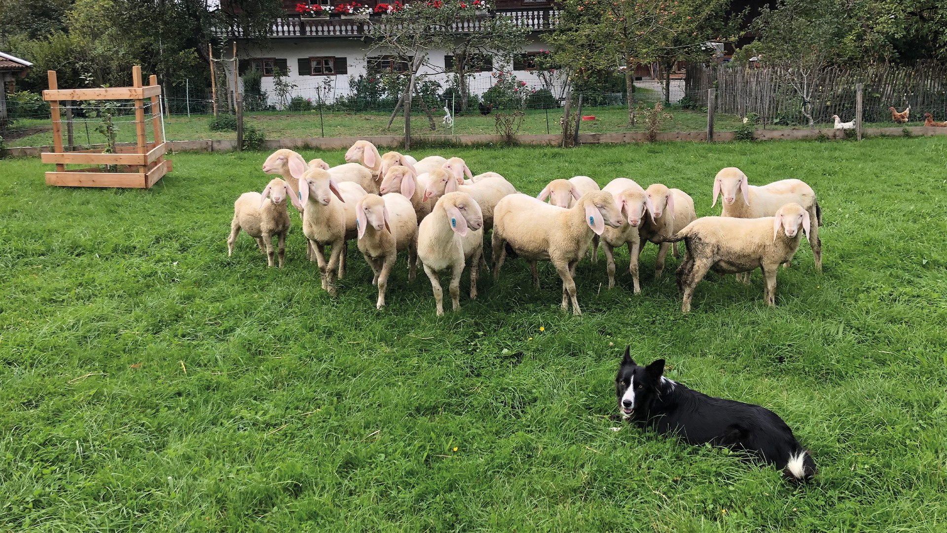 Birknerhof Warngau EKF