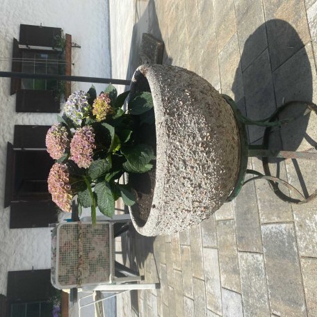 Blumen, © im-web.de/ Touristinformation Fischbachau