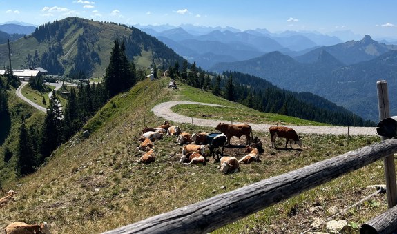 Tag-der-offenen-Alm-Tür-Wallbergbahn, © Julia Keck Tag-der-offenen-Alm-Tür-Wallbergbahn, © Julia Keck