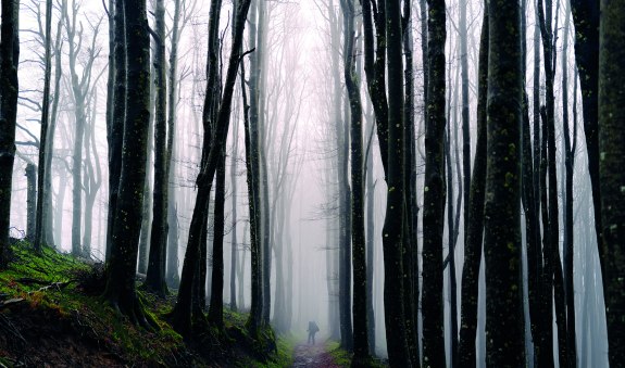 20260329_HochUndHeilig_CMYK