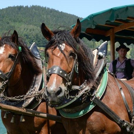 150711_fischerweber_alpin_086 150711_fischerweber_alpin_086