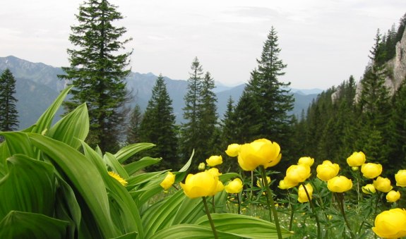 bilder-dialler-baerbel-058