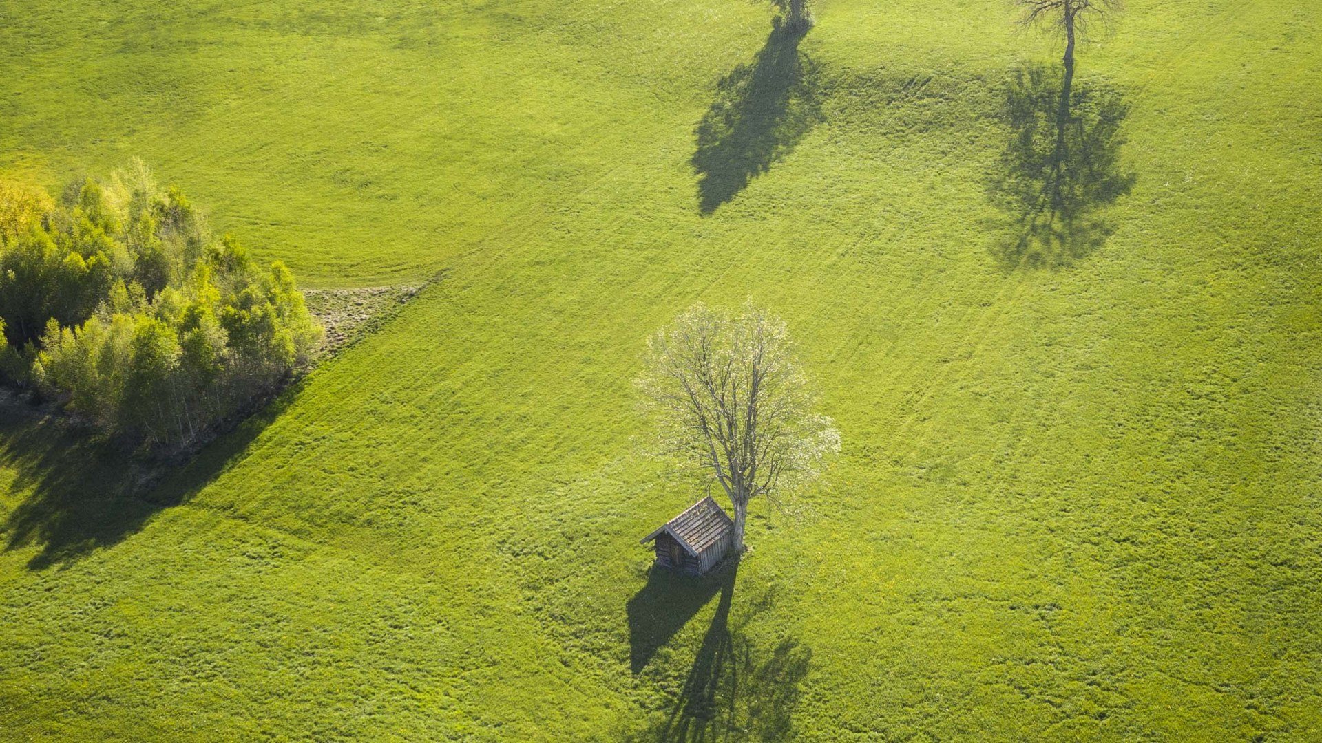 fischbachau_dietmar-denger-8 fischbachau_dietmar-denger-8