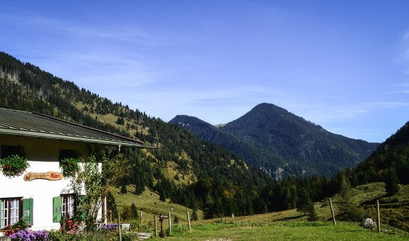 Niederhofer Alm, © Alpenregion Tegernsee Schliersee