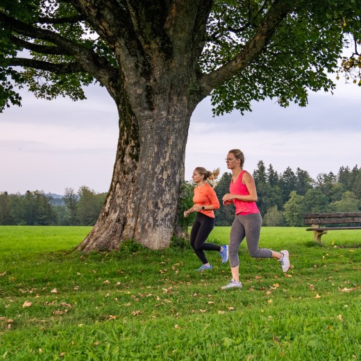 Laufpark Miesbach Hausham