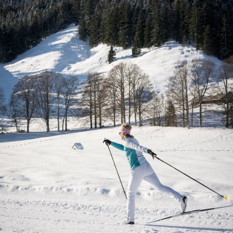 Langlaufen Bayrischzell, © Dietmar Denger