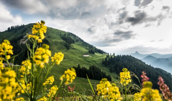 Blick zum Setzberg, © Der Tegernsee Blick zum Setzberg, © Der Tegernsee