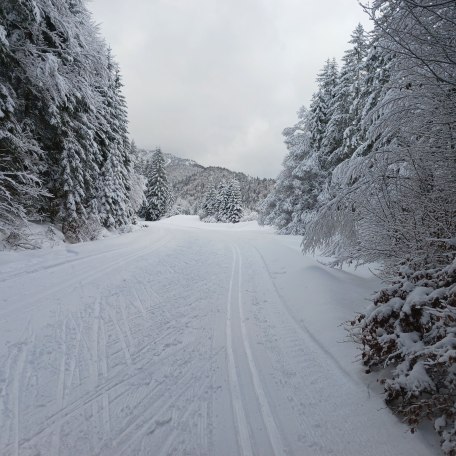 Langlaufloipe Bayrischzell, © im-web.de/ Kur- und Tourist-Info Bayrischzell