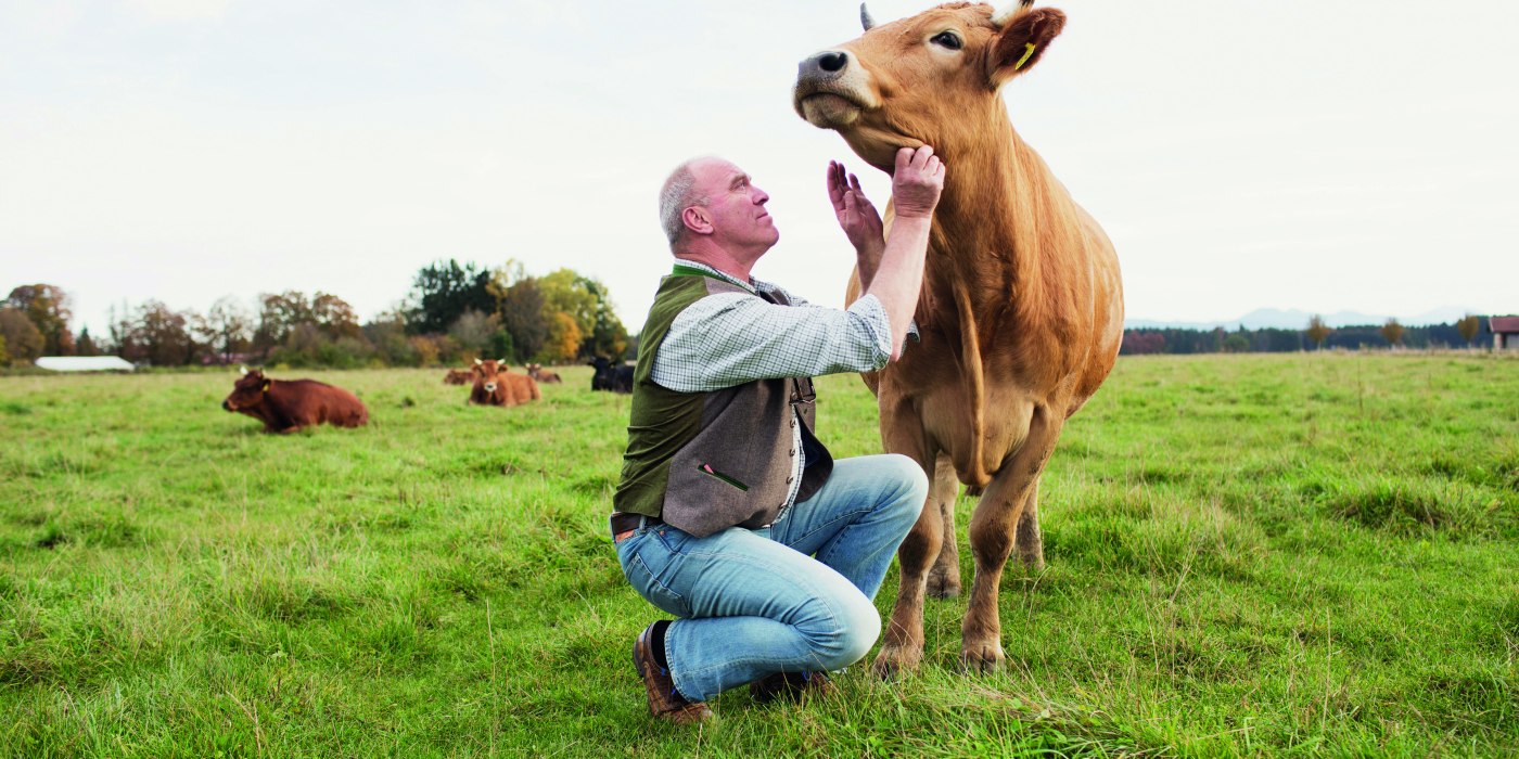 Archehof Schlickenrieder EKF