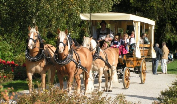 Kutschfahrten Sprenger