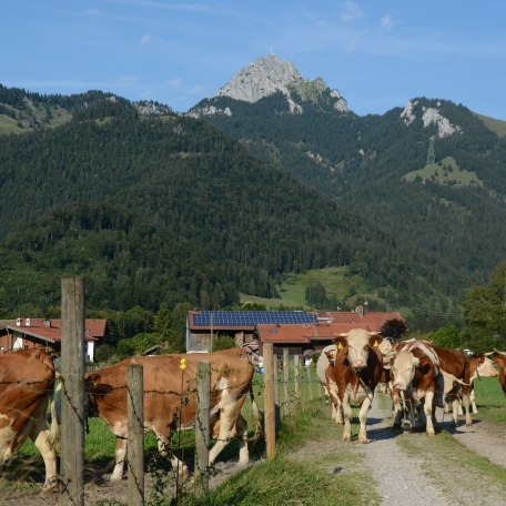 https://images.bs.ds-srv.net/objekt_pics/obj_full_28789_024.jpg, © im-web.de/ Tourist-Information Bayrischzell