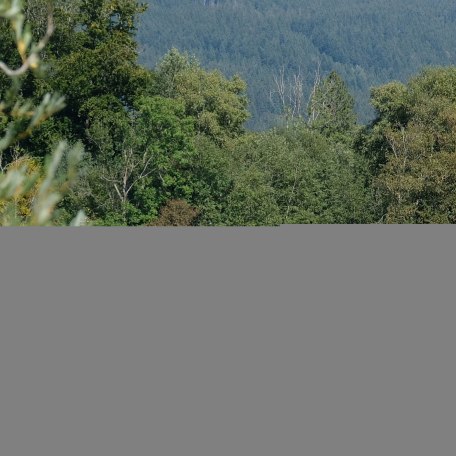 Blick vom Westufer auf die Insel Wörth mitten im Schliersee, © Ferienwohnung Auszeit am See