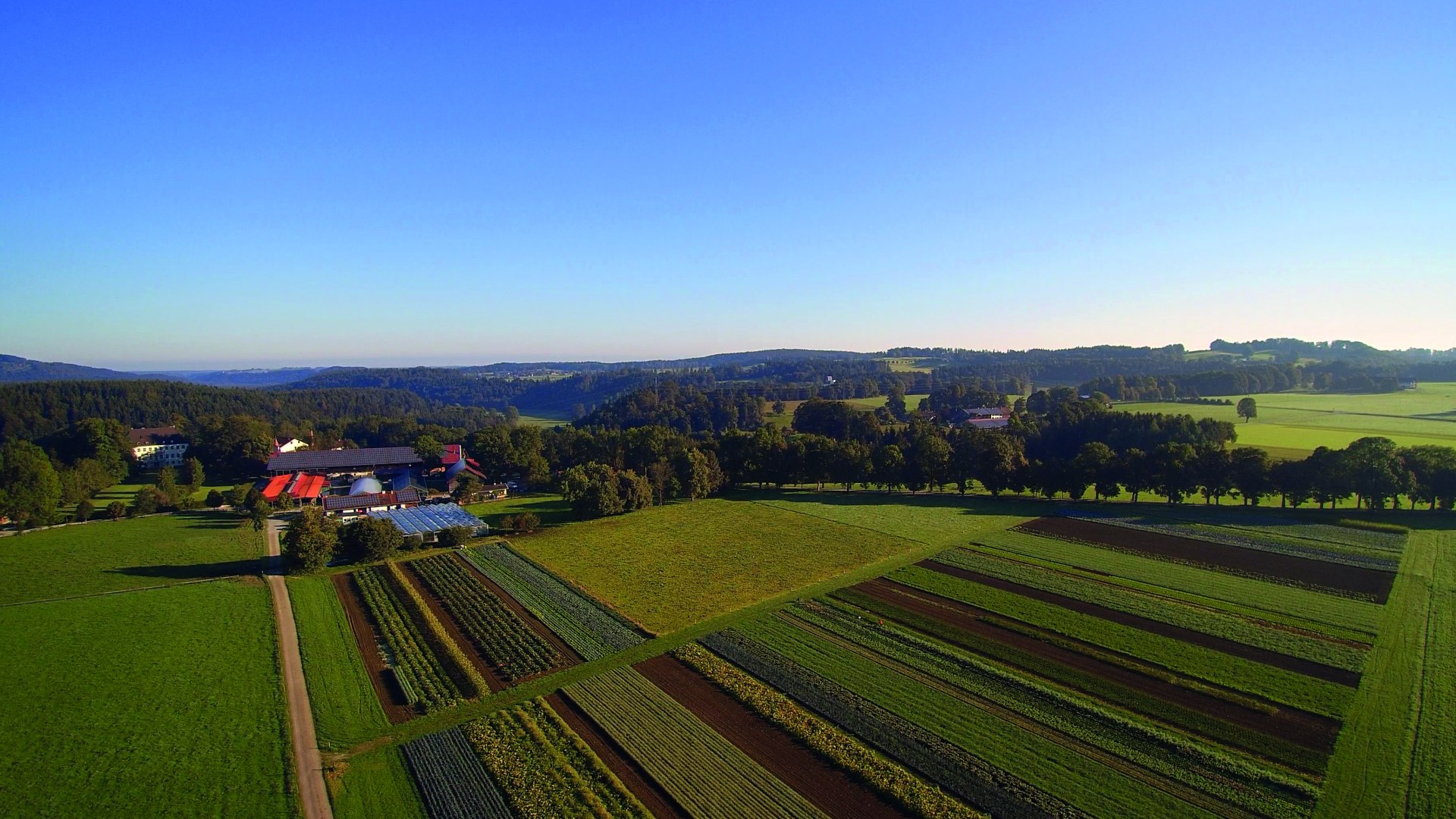 Biogut Wallenburg EKF