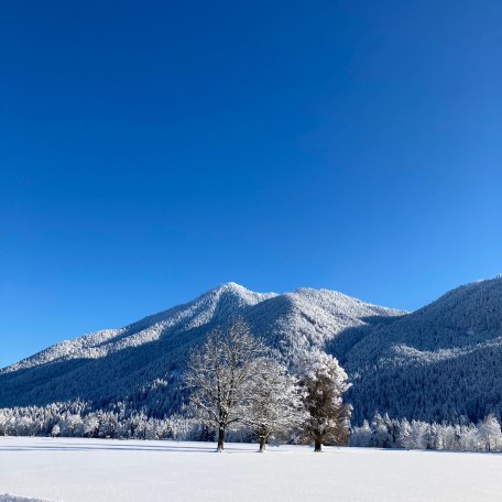 Wallberg, &copy; Stadler Christine