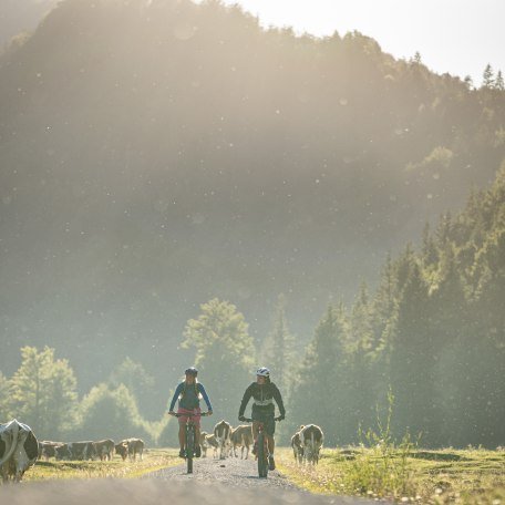 Mountainbike Bayrischzell, © Dietmar Denger