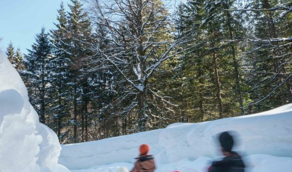 Rodelbahn Obere Firstalm, © Alpenregion Tegernsee Schliersee